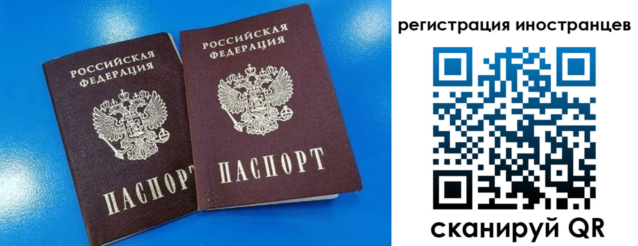 временная регистрация поиск в Донском