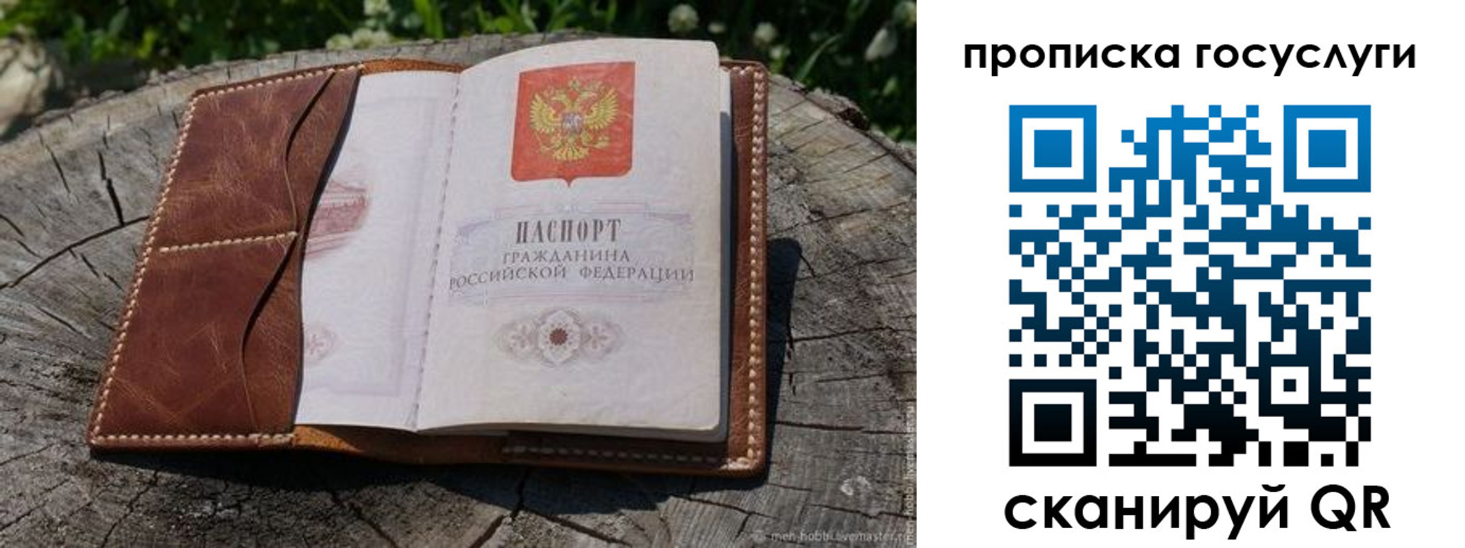 прописка для школы в Донском